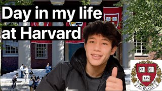 A Day in the Life of a Harvard Student