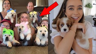 Puppy Surprise Compilation | Dog Surprise Compilation | Try Not to Cry - Miyu Animals #11