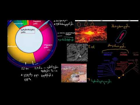 ოზონის შრე და ეუკარიოტები ჩნდებიან პროტეროზოურ ეონში