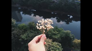 видео: Жүрек тазалығы | Жұма уағызы | Ұстаз Ерсін Әміре www.azan.kz картинка: Жүрек тазалығы | Жұма уағызы | Ұстаз Ерсін Әміре www.azan.kz