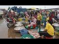 Morning Fish Market Scene @Prek Phnov Bridge - Amazing Big Site Contribute Fish & SeaFood