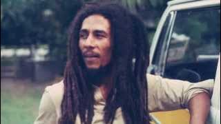 Bob Marley - Sinner Man