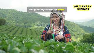 kashmir echoes: journey to remote villages and their heritage Srinagar