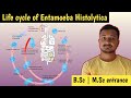 Life cycle of Entamoeba Histolytica | life cycle | B.Sc 1st year tgt pgt biology classes| Bada basta