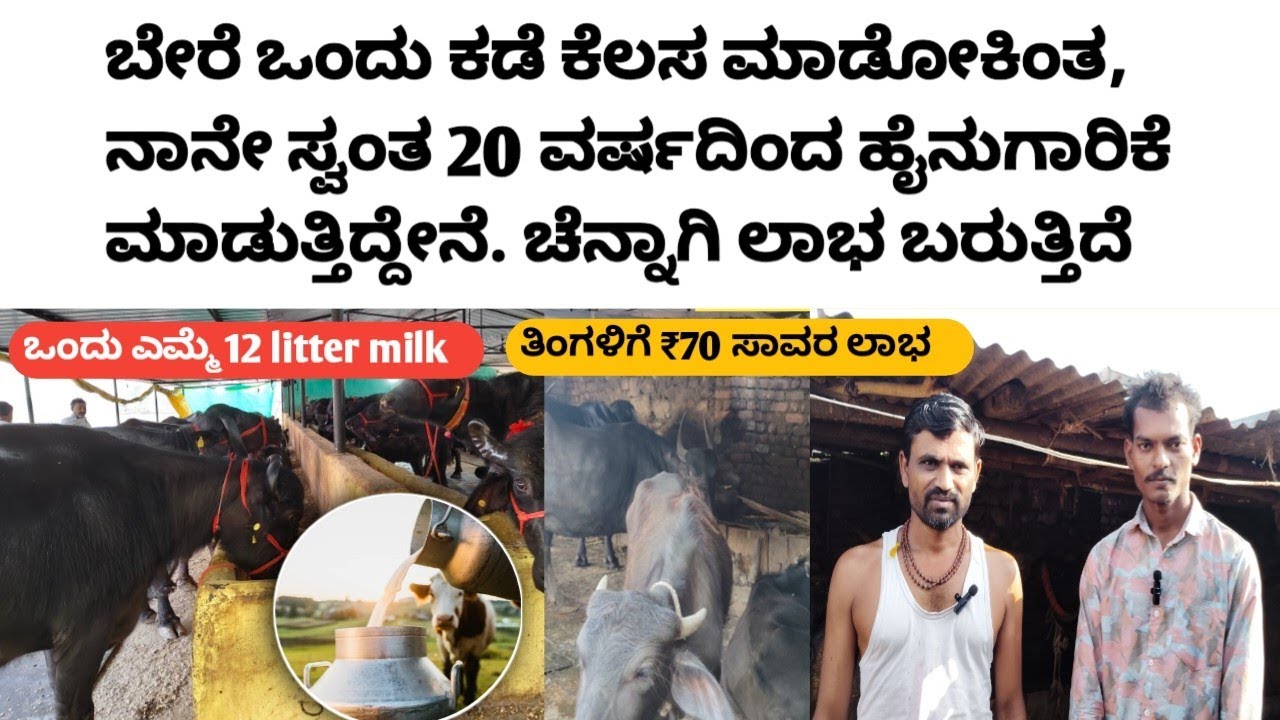 How To Start New Diary Farm business ? | ಹೊಸದಾಗಿ ಹೈನುಗಾರಿಕೆ ಹೇಗೆ ಆರಂಭ ಮಾಡೋದು ? ಬನ್ನಿ ಇವರತ್ರ ಕೇಳೋಣ 