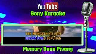 MEMORY DAUN PISANG KARAOKE