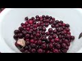 End of video
