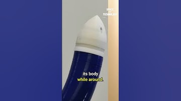 Climbing plant inspired growing soft robot #robotics