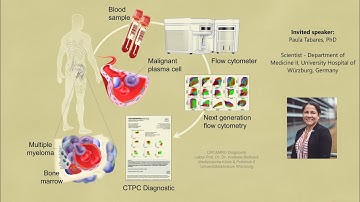 Monitoring Circulating Plasma Cells in routine diagnostics in Multiple Myeloma