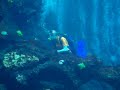 [Samsung VLUU EX1/TL500] Hawaii - Aquarium #2