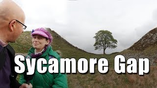 Exploring Sycamore Gap in Hadrian's Wall in Northumberland!