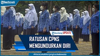 Viral Ratusan CPNS Mengundurkan Diri, BKN Ungkap Alasannya Viral Ratusan CPNS Mengundurkan Diri, BKN Ungkap Alasannya