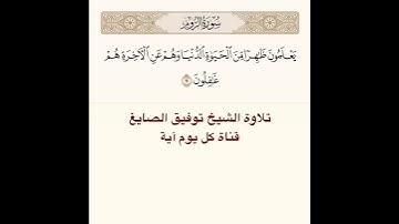 #تلاوة #الشيخ #توفيق_الصائغ من #سورة #الروم