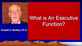 What is an Executive Function?