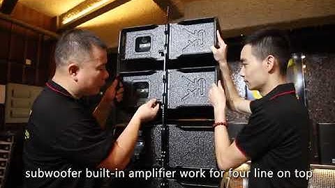 CVR double 8 inch line array W-208B