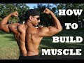 How To Build Muscle - Muscle Building Tips For Beginners