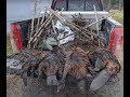 Northern Maine Beaver Trapping, Fall 2020