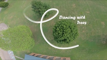 Dancing with Trees - FPV Freestyle
