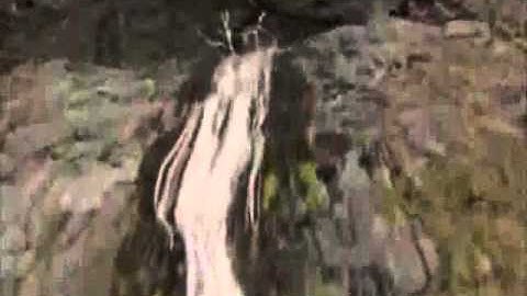 قل أفغير الله تأمروني أعبد أيها الجاهلون (القارئ  مشارى بن راشد العفاسى )