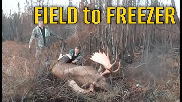 A COMPLETE Alaskan Moose Hunt: From Field to Freezer (And Our Gear)