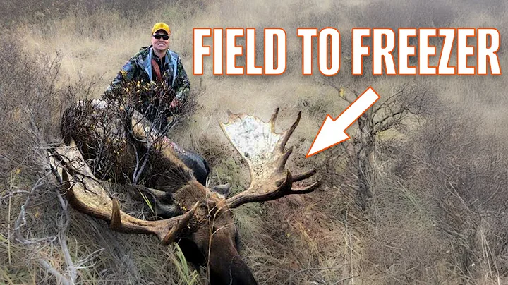 A COMPLETE Alaskan Moose Hunt: From Field to Freezer (And Our Gear)