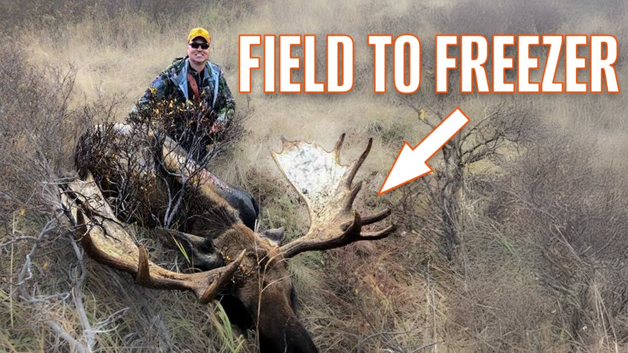 A COMPLETE Alaskan Moose Hunt: From Field to Freezer (And Our Gear)