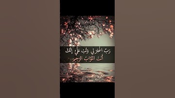 #القرآن_الكريم #اكسبلور #المصحف #تلاوة_خاشعة #duet #القرآن #لايك #راحة