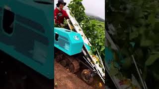 Japanese Soybean Harvesting Japanese Agriculture Japanese Agricultural Machinery
