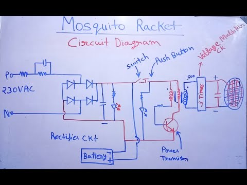 Life Cycle Of A Mosquito Meity Olabs Youtube