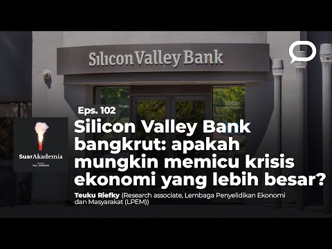 Video: Memiliki ekonomi yang terdiversifikasi?