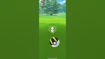 Shiny Eevee Hunting ~ Eevee Community Day 2021 (Pokémon Go)