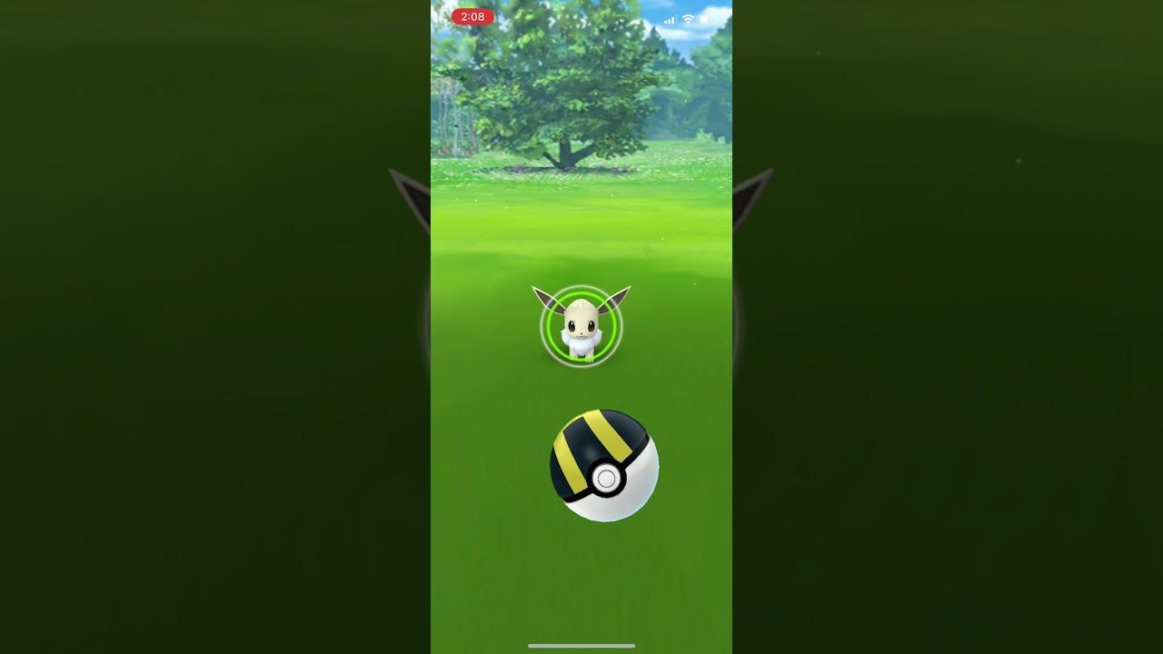 Shiny Eevee Hunting ~ Eevee Community Day 2021 (Pokémon Go)