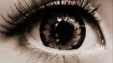 PERISCOPE - RIPPED AND TORN