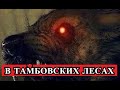 СТРАШНАЯ История - В Тамбовских лесах