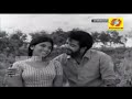Maarivillu Panthalitta| Malayalam Movie Song|   |Theerthayathra |K J Yesudas [  A T Ummer| Mp3 Song