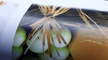 Tranh in Canvas Sắc Nét đến từng chi tiết - BroCanvas