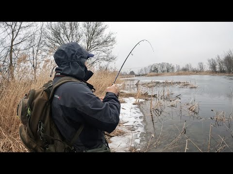 Зимний спиннинг на реке. Рыбалка 2024. Случай на рыбалке