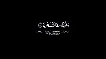 كرومة شاشه سوداء بصوت الشيخ عادل ريان من سورة المرسلات.
