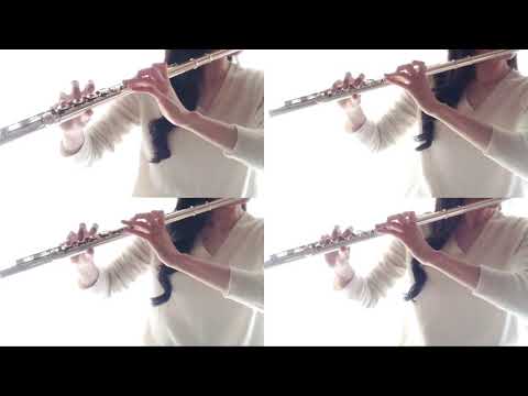 Regardez Kylä Vuotti Uutta Kuuta ／ ファブリーズナチュリスcm「ただいまのナチュリス」挿入曲（フルート四重奏） sur YouTube