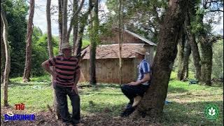 Siberian Was a Brave Man