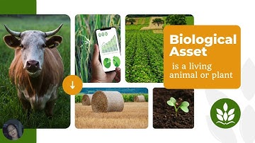 AGRICULTURE in Government Accounting