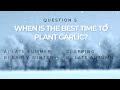 July Winter Quiz