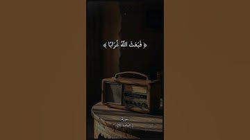 سورة المائدة بصوت الشيخ سيد سعيد رحمه الله #قرآن #قران_كريم #راحة_نفسية #الشيخ_سيد_سعيد #funny #fyp