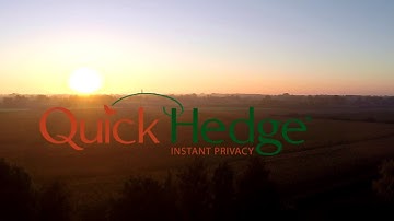 QuickHedge instant hedges - Nursery from the sky - Drone action