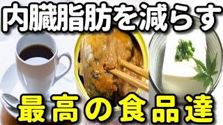 内臓脂肪を減らして血液サラサラ効果のある食品９選！ダイエットになって病気を予防する食品とは？