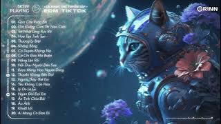 Qua Cầu Rước Em, Giờ Không Cưới Thì Nào Cưới, Tát Nhật Lãng Rực Rỡ  - Top Nhạc Remix EDM TikTok 2024