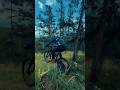 Егоза🔥 #mtb #downhillmountainbike #downhill #mountainbiking #downhillmtb #bicycle #mountainbike