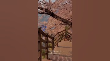 سوره الانفال { إِنَّمَا الْمُؤْمِنُونَ الَّذِينَ إِذَا ذُكِرَ اللَّهُ وَجِلَتْ قُلُوبُهُمْ}حالة واتس