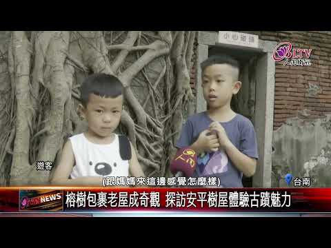 20250910台南必去古蹟景點 安平樹屋展現自然與歷史記憶｜‪ ‪@FGSBLTV‬