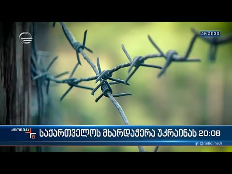 უკრაინის ომის და საქართველოს სოლიდარობის 1 წელი